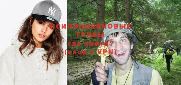 МДПВ Алексеевка