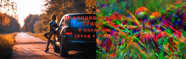 МДПВ Алексеевка