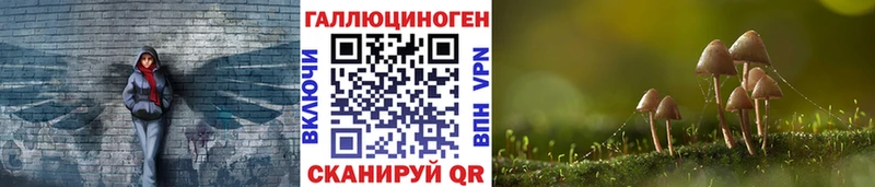 Псилоцибиновые грибы Psilocybine cubensis  Глазов 