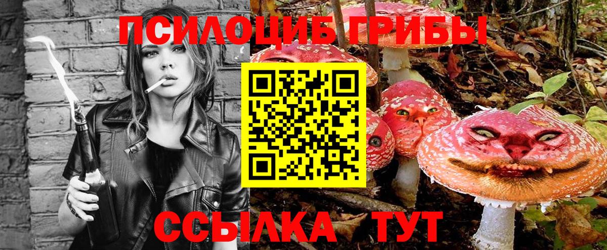 Глазов  Галлюциногенные грибы Psilocybe  Псилоцибиновые грибы прущие грибы  Вход с VPN 