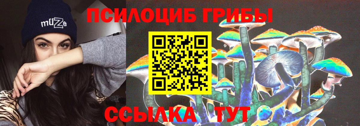Глазов  Галлюциногенные грибы мухоморы  Вход с VPN  Галлюциногенные грибы Magic Shrooms 