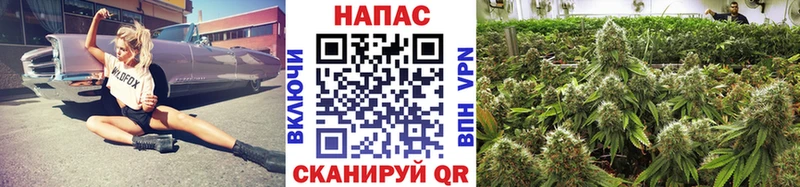 Каннабис тримм  маркетплейс Telegram  Глазов  блэк спрут рабочий сайт 